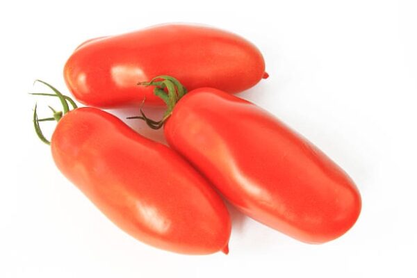 Pomodoro Torino 200g