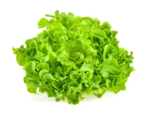 Insalata Gentile 320g