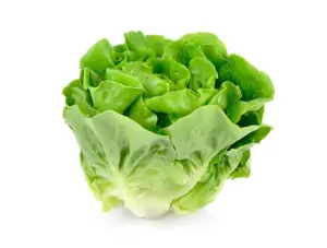 Insalata Lattuga 260g