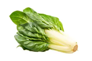 Coste Bianche (bietole) 250g