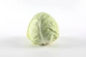 Cavolo Cappuccio Bianco 1000g