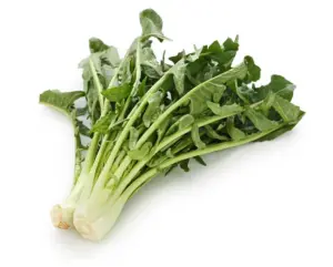 Catalogna 500g