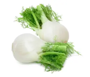 Finocchi 500g