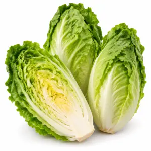 Insalata Milano 240g