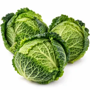 Cavolo verza 1100g
